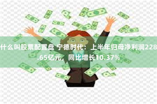 什么叫股票配置盘 宁德时代:上半年归母净利润228.65亿元,同比增长10.37%