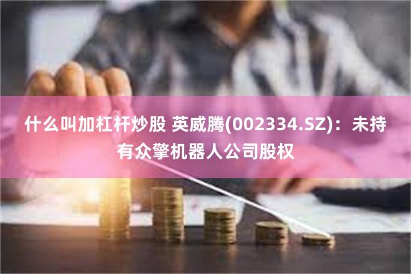 什么叫加杠杆炒股 英威腾(002334.SZ)：未持有众擎机器人公司股权