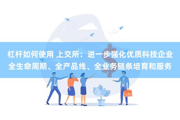 杠杆如何使用 上交所：进一步强化优质科技企业全生命周期、全产品线、全业务链条培育和服务