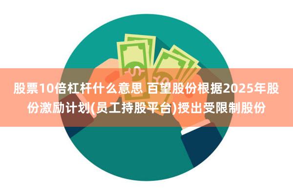 股票10倍杠杆什么意思 百望股份根据2025年股份激励计划(员工持股平台)授出受限制股份